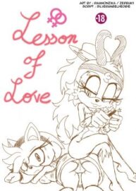 Cover Lesson Of Love