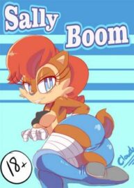 Cover Sally Boom