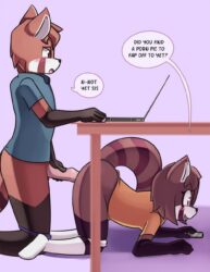Cover Red Panda Siblings